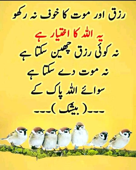 Islamic Quotes image