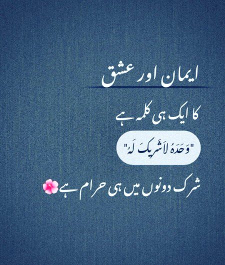 Islamic Quotes image