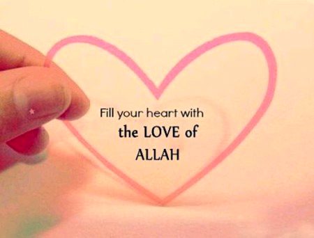 Fill your....