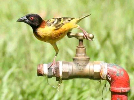 Beautiful Nature image