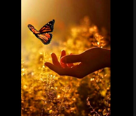 Beautiful Nature image