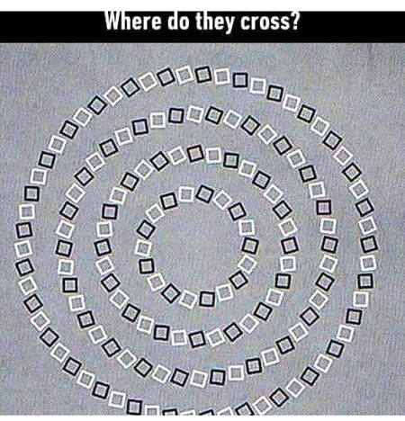 Riddles & Puzzles image