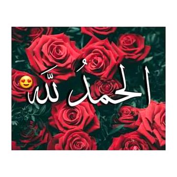 💞💞💞Alhmdulila for everything💞💞💞
