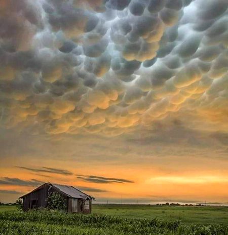 Beautiful Nature image