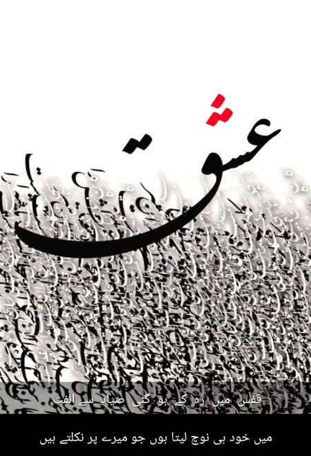قفس میں رہ کے ہو گئی صیاد سے الفت
میں خود ہی نوچ لیتا ہوں جو میرے پر نکلتے ہیں