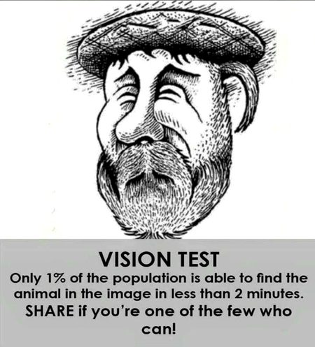 Riddles & Puzzles image