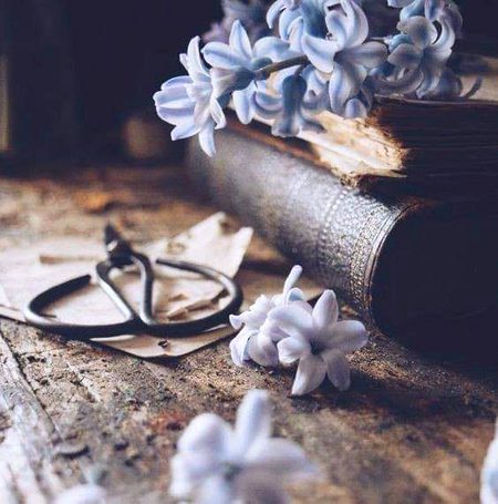 سپرد خاک میرا ایک ایک خط نہ کرے۔۔۔۔
وہ بدگمانیوں میں فیصلے غلط نہ کرے۔۔۔۔سلجھ بھی سکتا ہے جھگڑا اس سے کہو کہ ابھی۔۔۔جدائ کے کسی کاغذ پہ دستخط نہ کرے۔۔۔