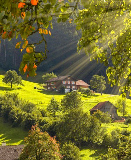Beauty of Switzerland🇨🇭