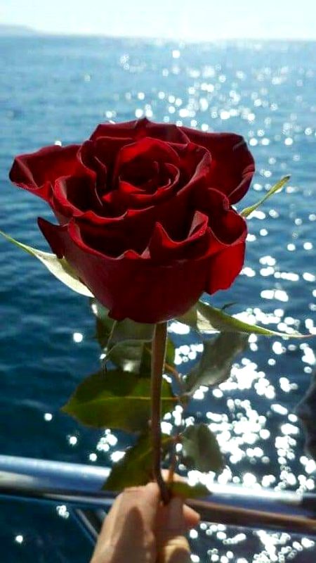 Beautiful Nature image