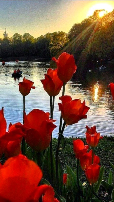 Beautiful Nature image