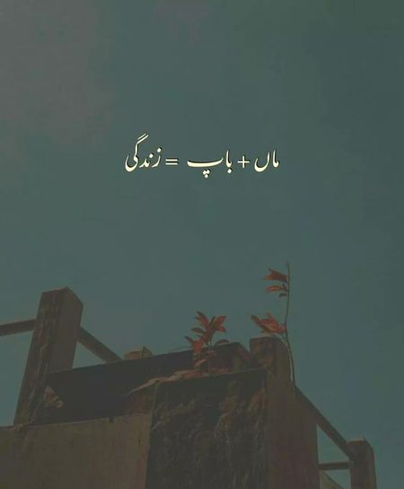 میرے پاس تو دونوں ہی نہیں ہیں 
😭😭😭💔💔💔