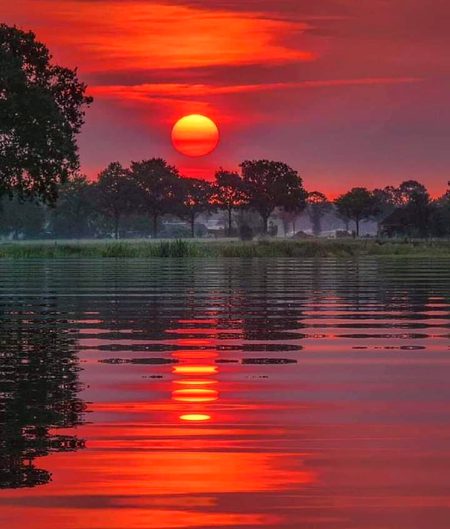 Beautiful Nature image