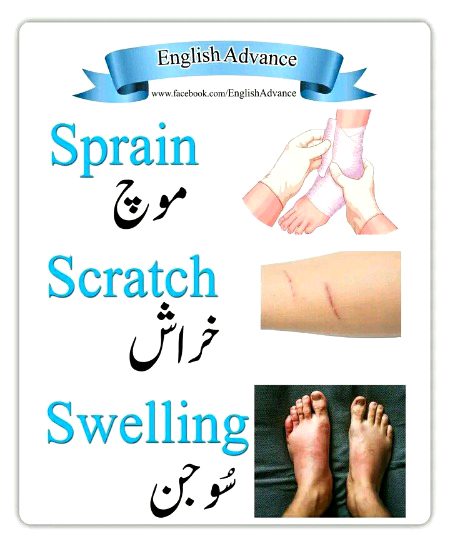 Tips for Students image