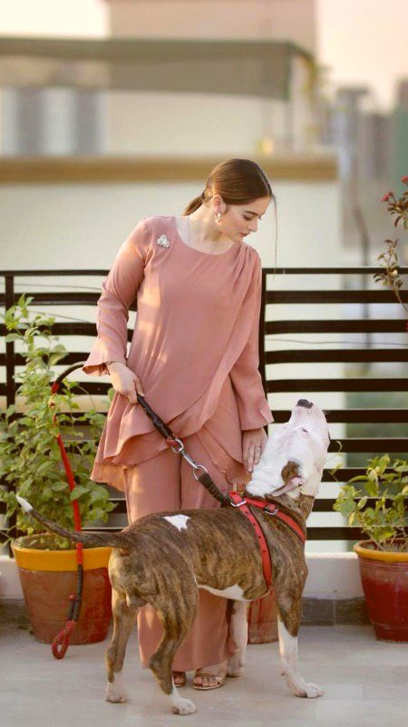 Pakistani Celebs image