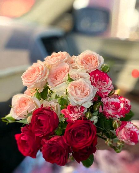 Beautiful Nature image