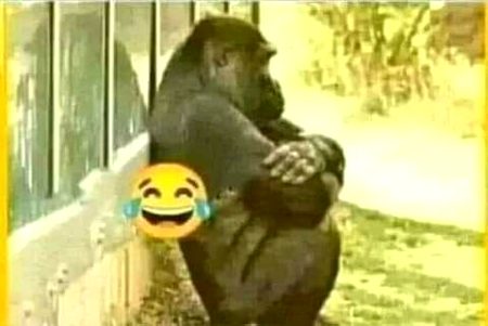 یہ کس کا بابو ہے؟
گروپ کے باہر بیٹھا ہے منہ پھلا کر
نہ تھانا تھا رہا نا پانی پی رہا 
جس کا بھی ہے منا کے لے جاؤ اِسے