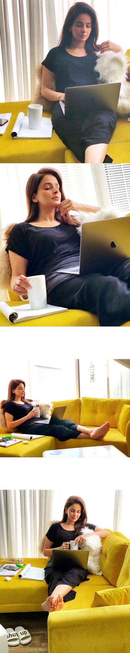 Pakistani Celebs image