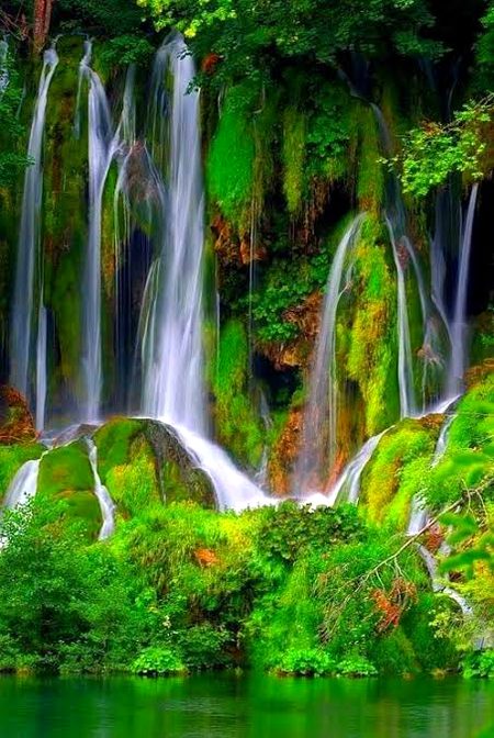 Beautiful Nature image