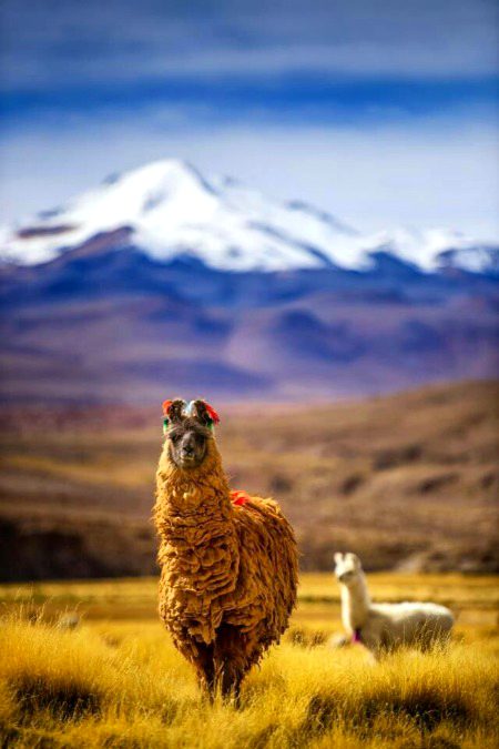 Beautiful Nature image