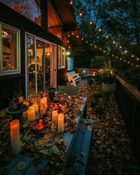 Beautiful Nature image