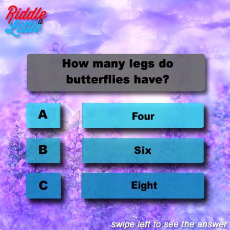 Knowledge Test image