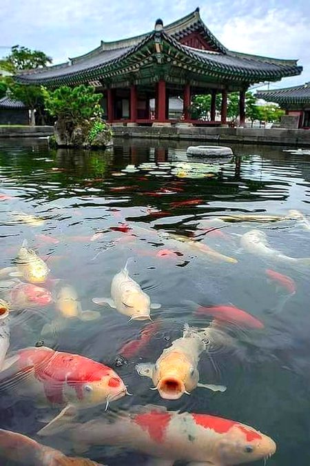 Beautiful Nature image