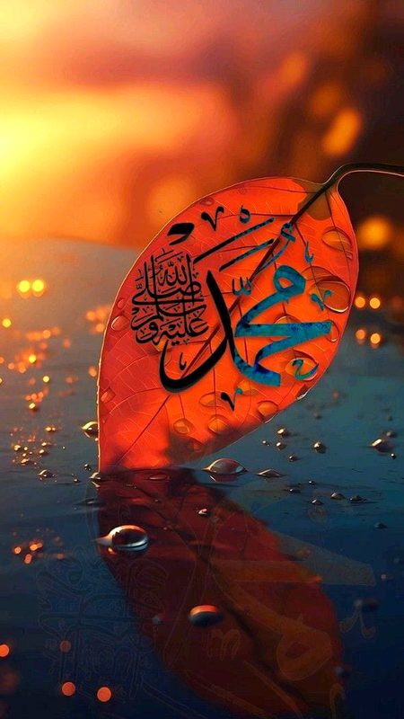 Islamic Quotes image