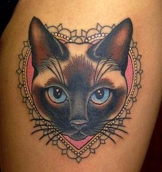 Interesting Posts image