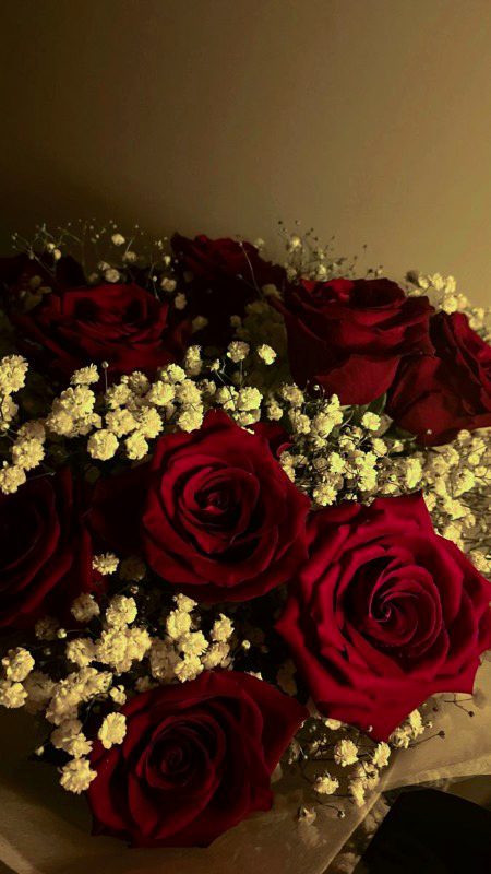 Beautiful Nature image