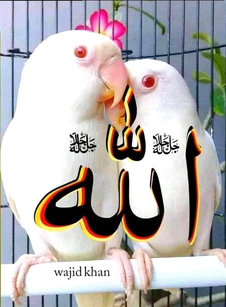 Suba ki shuroat ALLAH ka naam ka sath