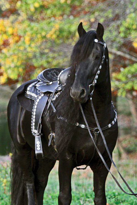 Beautiful Nature image