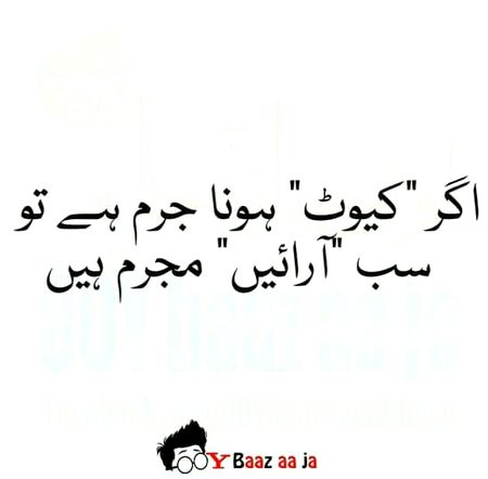 Ap ki cost ki Hy