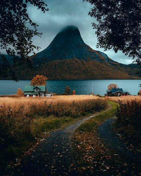 Beautiful Nature image