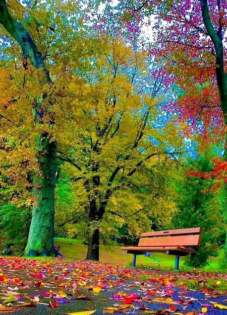 Beautiful Nature image