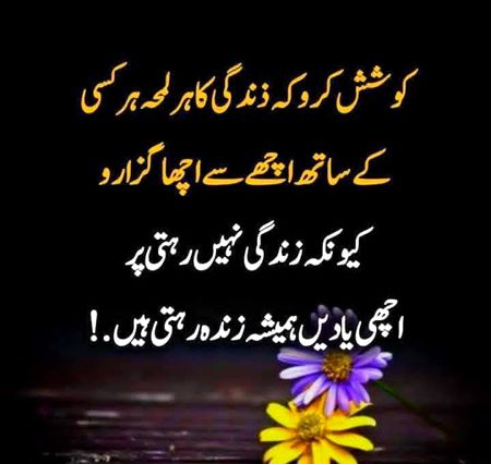 Motivational Quotes image