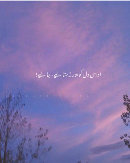 Logo 💔🔥🔥🔥