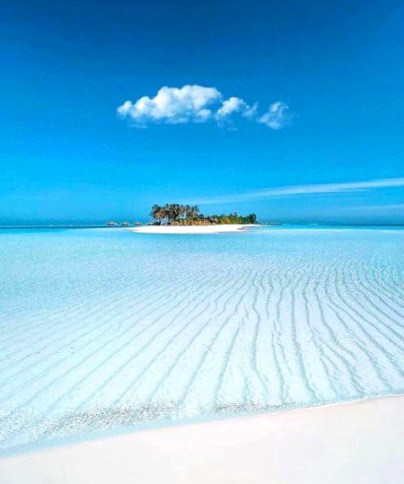 Beautiful Nature image