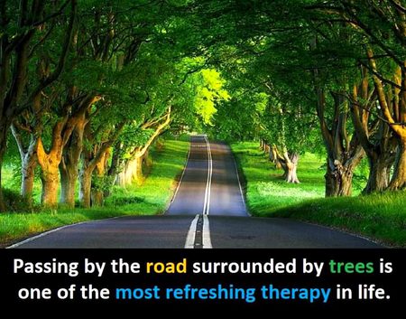 Beautiful Nature image