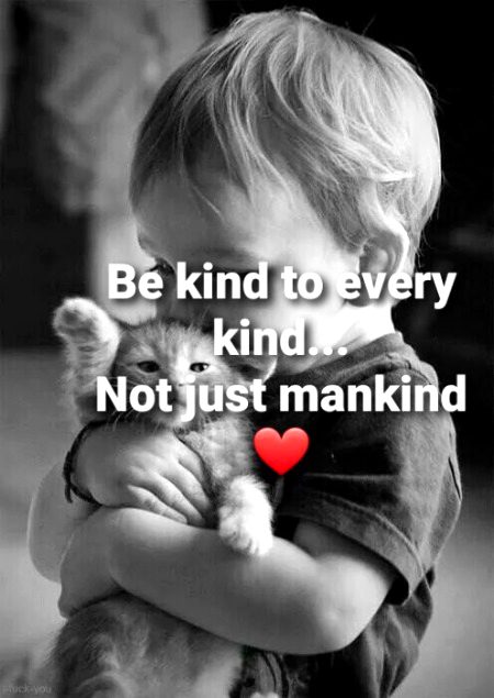 Motivational Quotes image