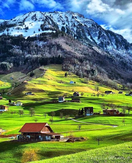 Beautiful Nature image