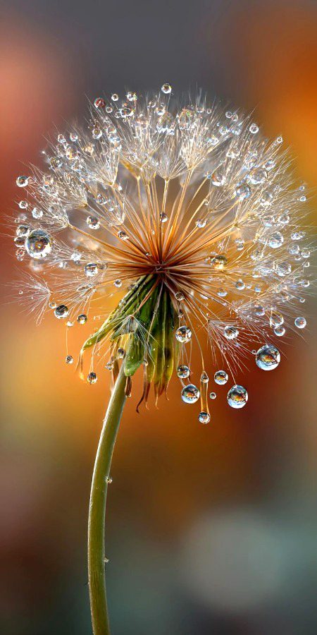 Beautiful Nature image
