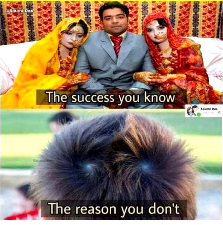 Memes & Satire image