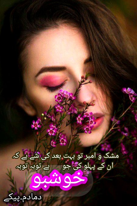 Romantic Poetry image