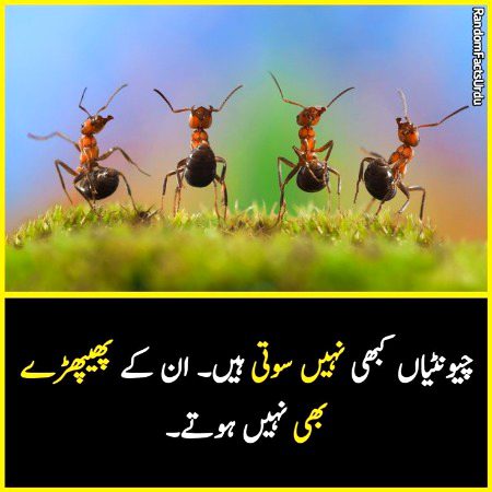 Interesting!