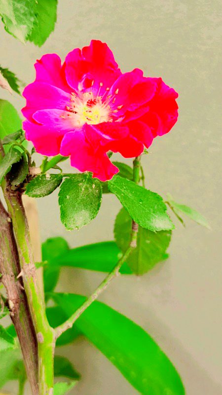 Beautiful Nature image