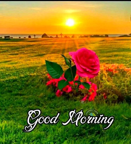 Beautiful Nature image