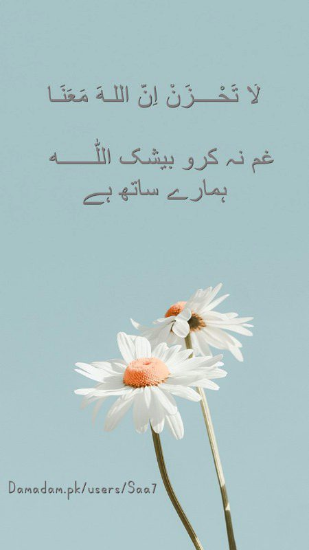 Islamic Quotes image