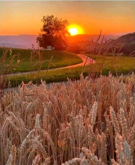 Beautiful Nature image