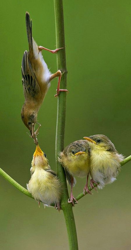 Beautiful Nature image