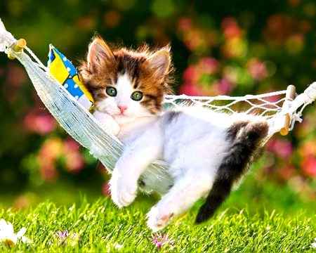 Beautiful Nature image